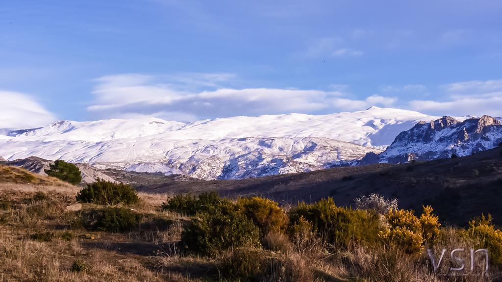 Green Peaks B&B Country House Alojamiento Rural Cortijo de Balsain 외부 사진